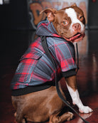 Dog Hoodie - Royal Flush | Dixxon Flannel Co.