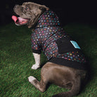 Bougie Dog Hood - Multi Drip - Dixxon Flannel Co.