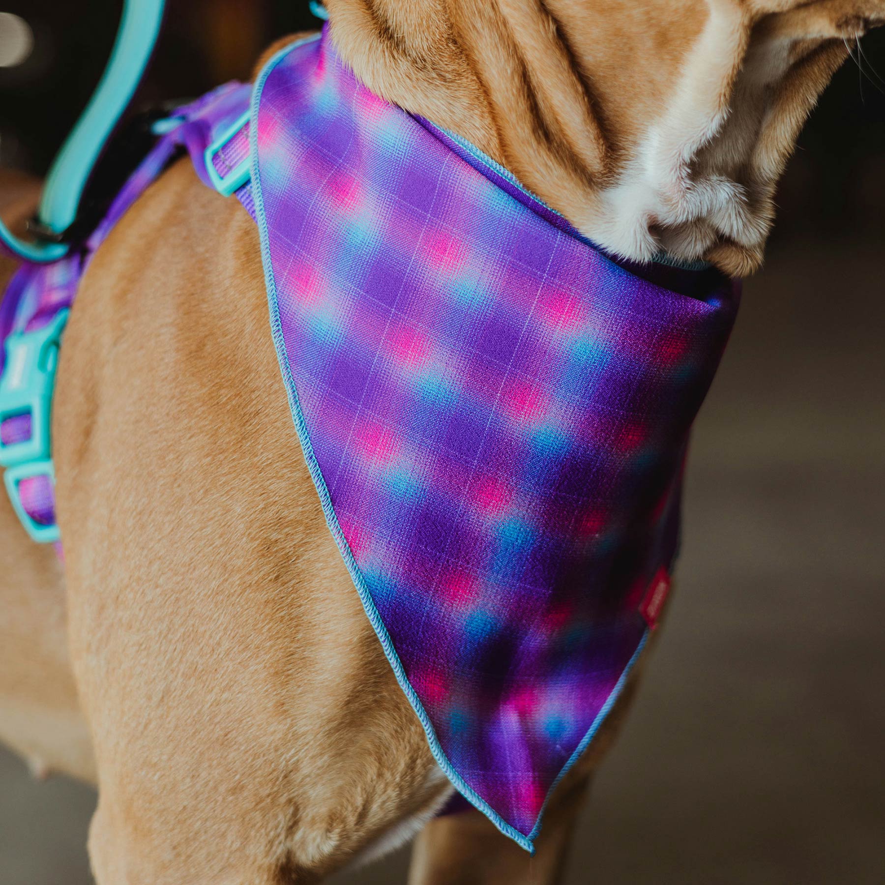 Pink dog bandana best sale