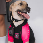 Fur Family Dog Hood - Black & Pink - Dixxon Flannel Co.