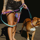 Polyester Dog Leash - Aqua & Pink