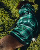 Emerald Isle Flannel Print Hoodie - Dixxon Flannel Co.