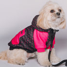 Dog Hoodie - Bougie - Black & Pink - Dixxon Flannel Co.