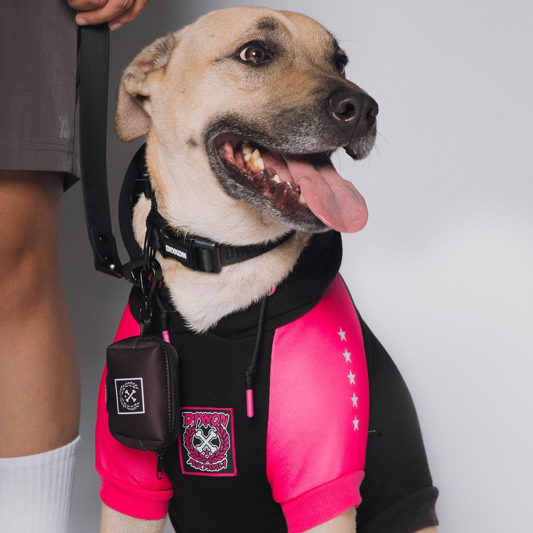 Pink service dog vest shop