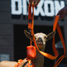 Dixxon Dog Leash - Floro Orange - Dixxon Flannel Co.