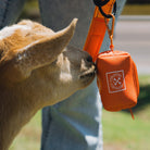 Dog Poop Bag Holder - Floro Orange - Dixxon Flannel Co.