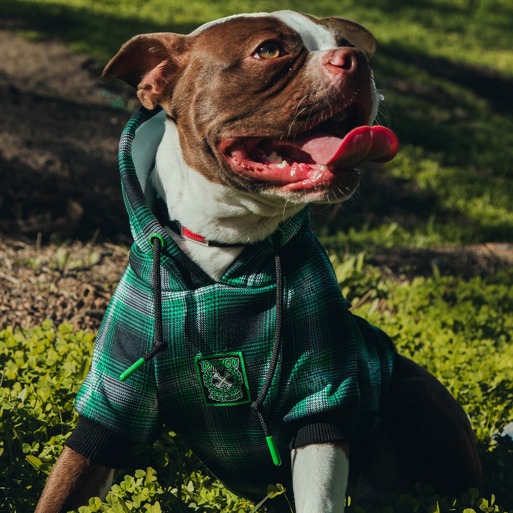 Emerald Isle Flannel Print Hoodie Dixxon Flannel Co. DIXXON UK