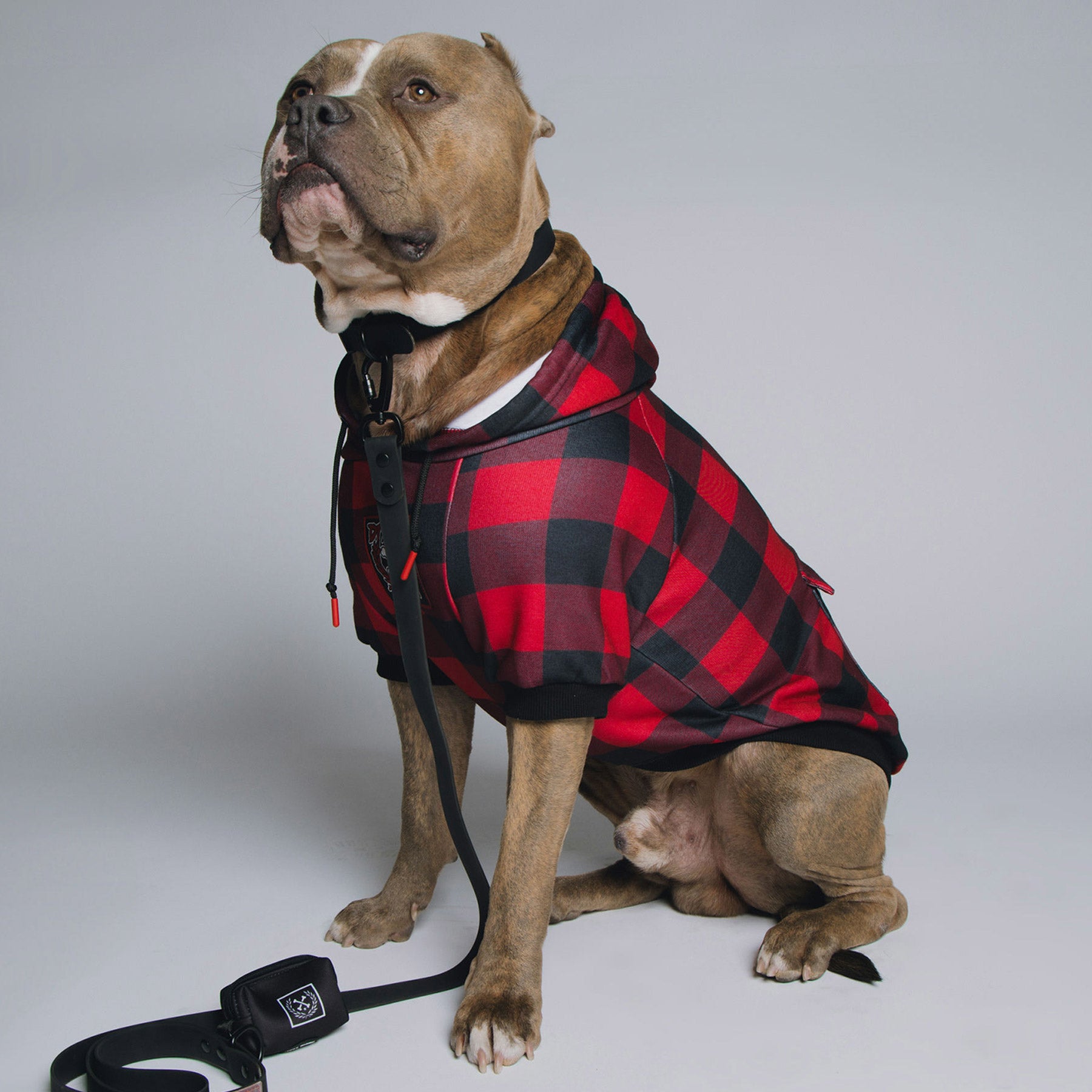 Redrum Flannel Print Dog Hoodie