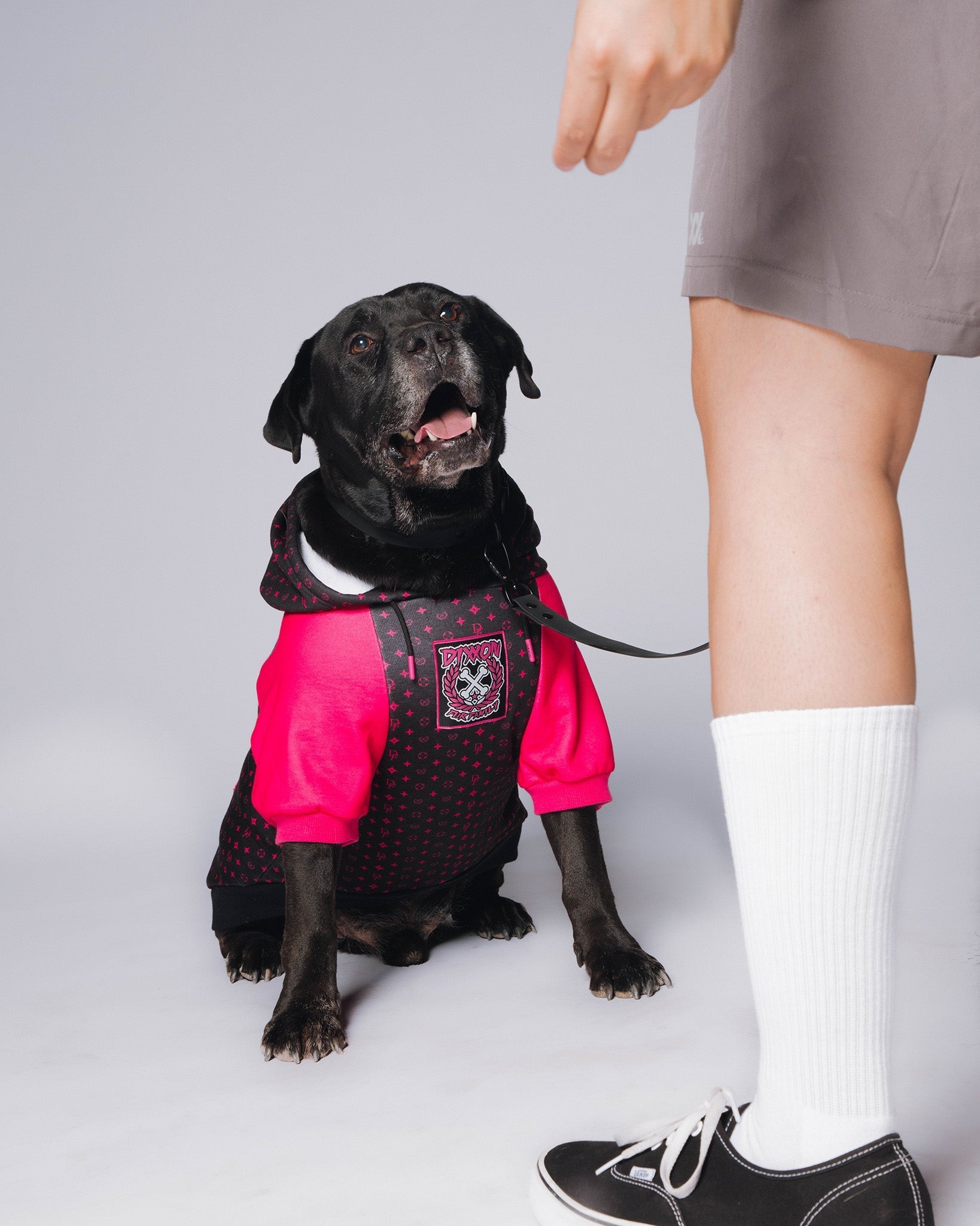 Dog Hoodie - Bougie - Black & Pink - Dixxon Flannel Co.