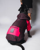 Dog Hoodie - Bougie - Black & Pink - Dixxon Flannel Co.