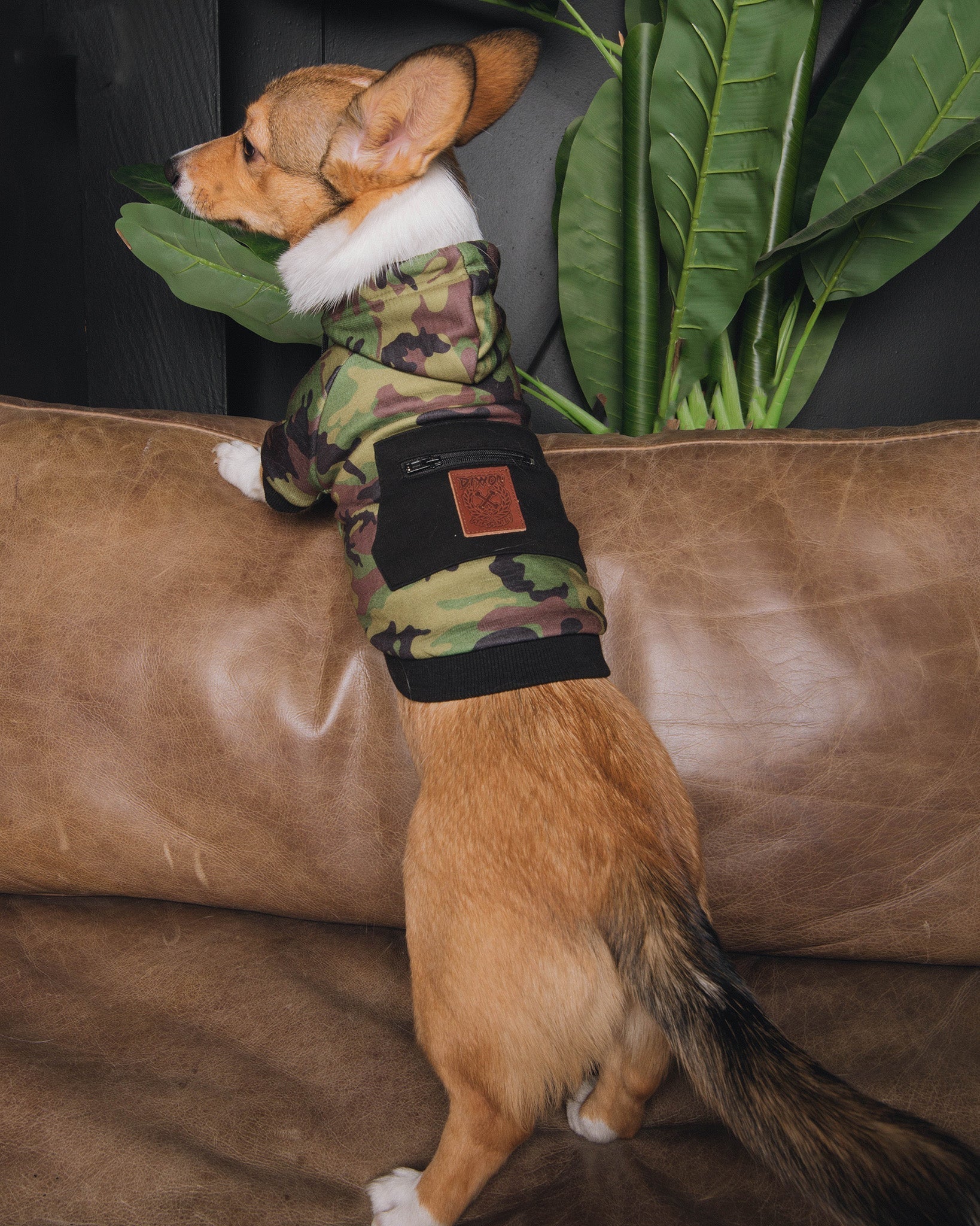 Dog Hoodie - Camo