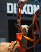 Dog Poop Bag Holder - Floro Orange - Dixxon Flannel Co.