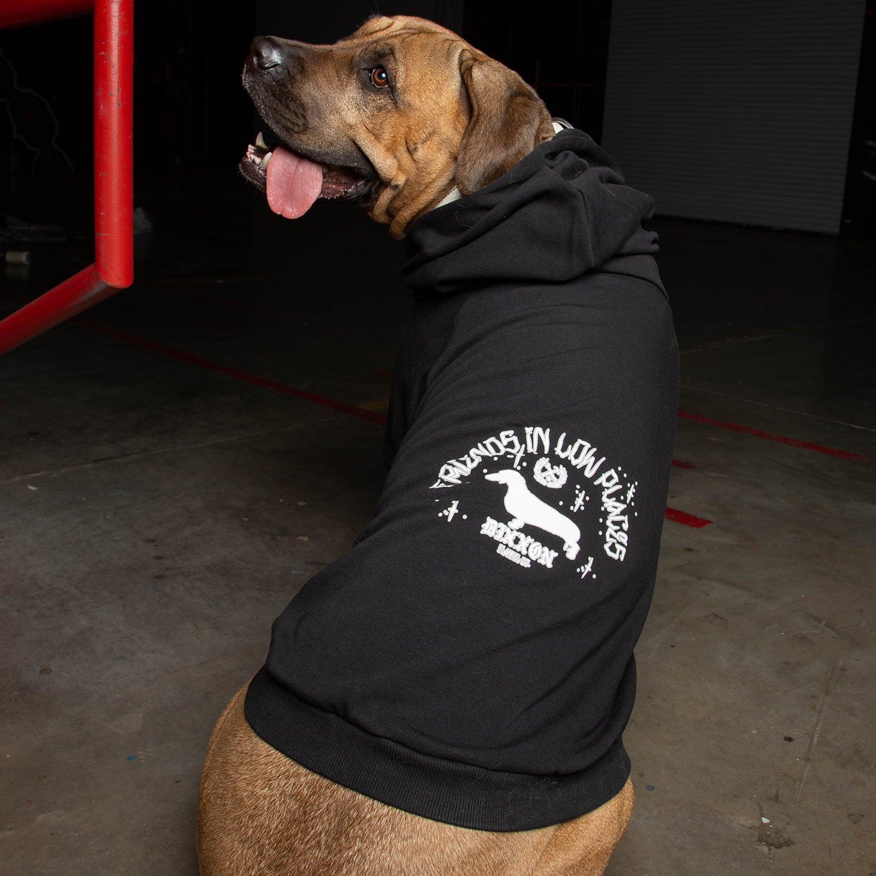 Fur Friends In Low Places Dog Hoodie