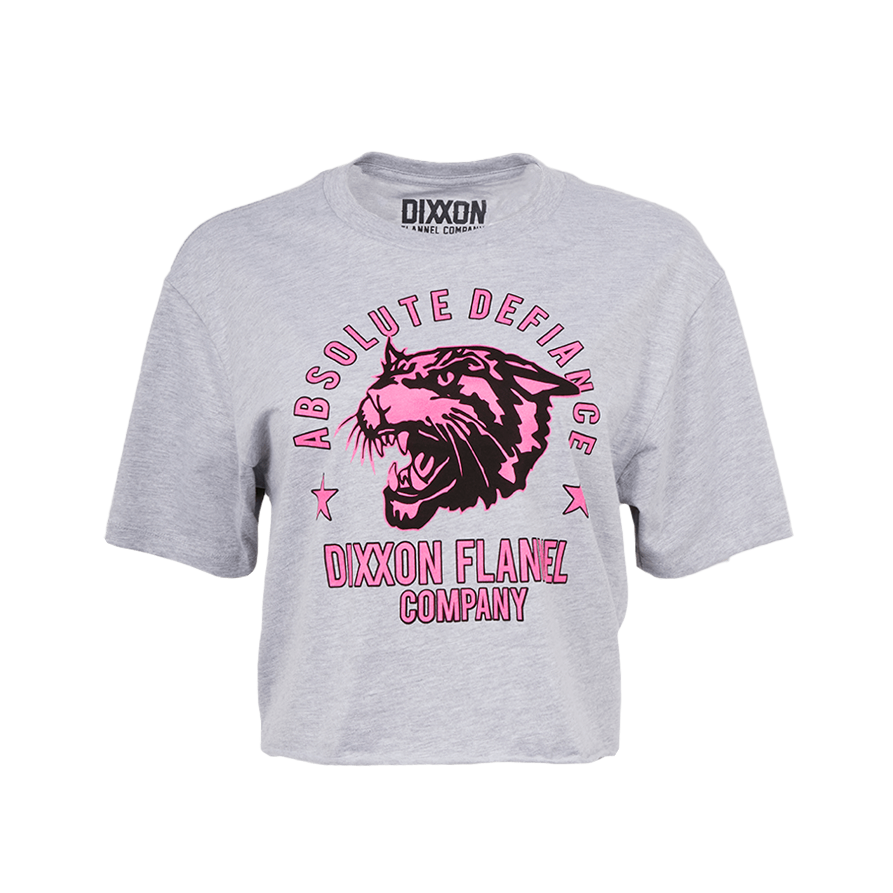 Women's Absolute Defiance Crop Top - Gray & Pink