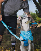 Dixxon Dog Leash - Blue - Dixxon Flannel Co.