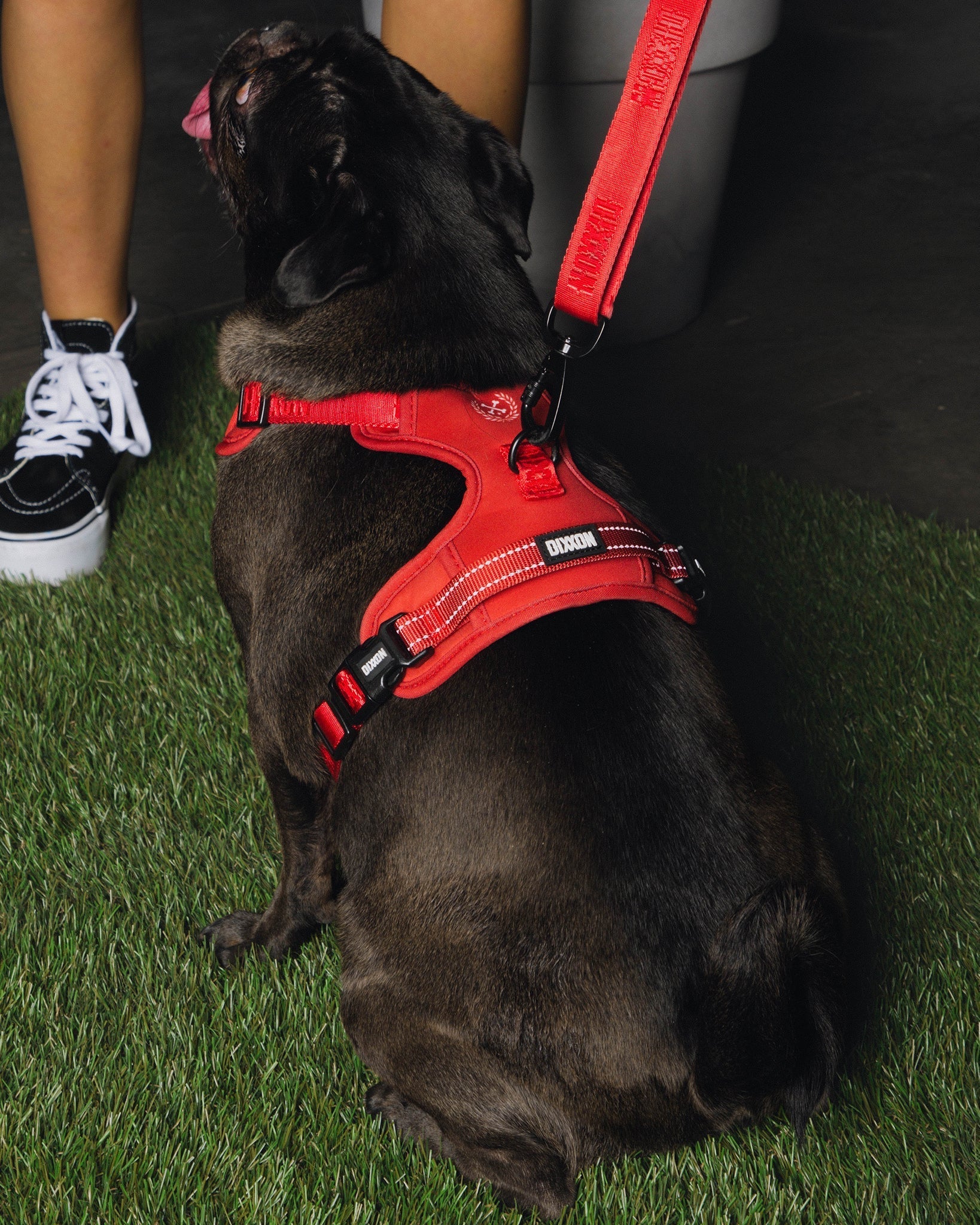 Dixxon Mesh Dog Harness - Red